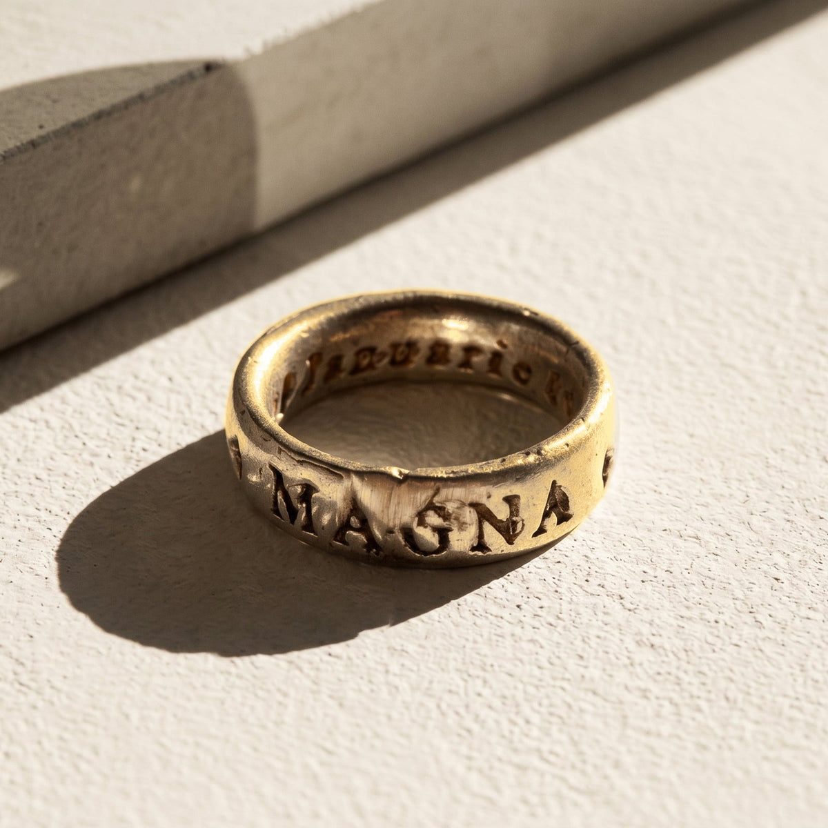 Sic Parvis Magna