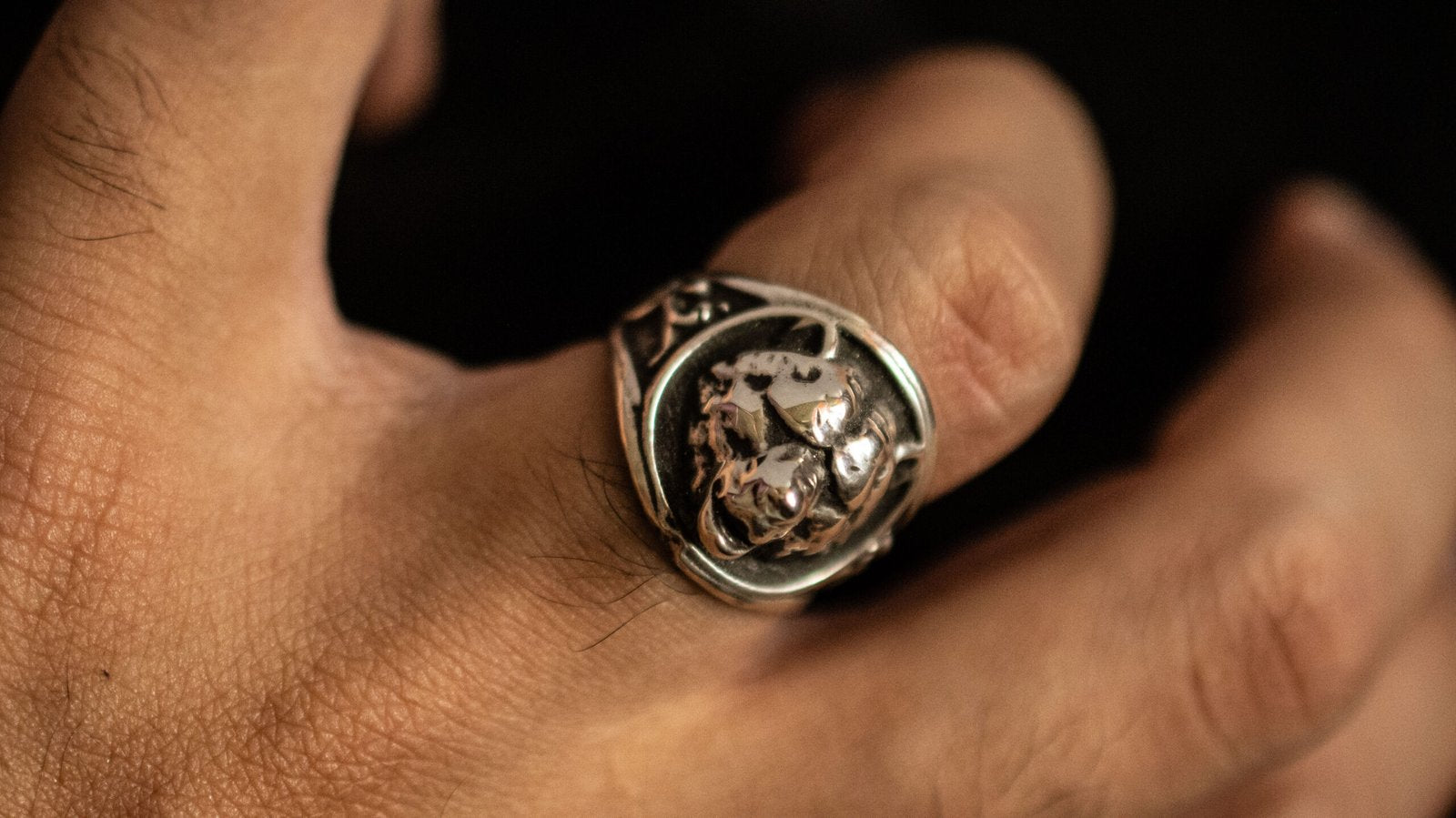 The Old Bear Ring image 2