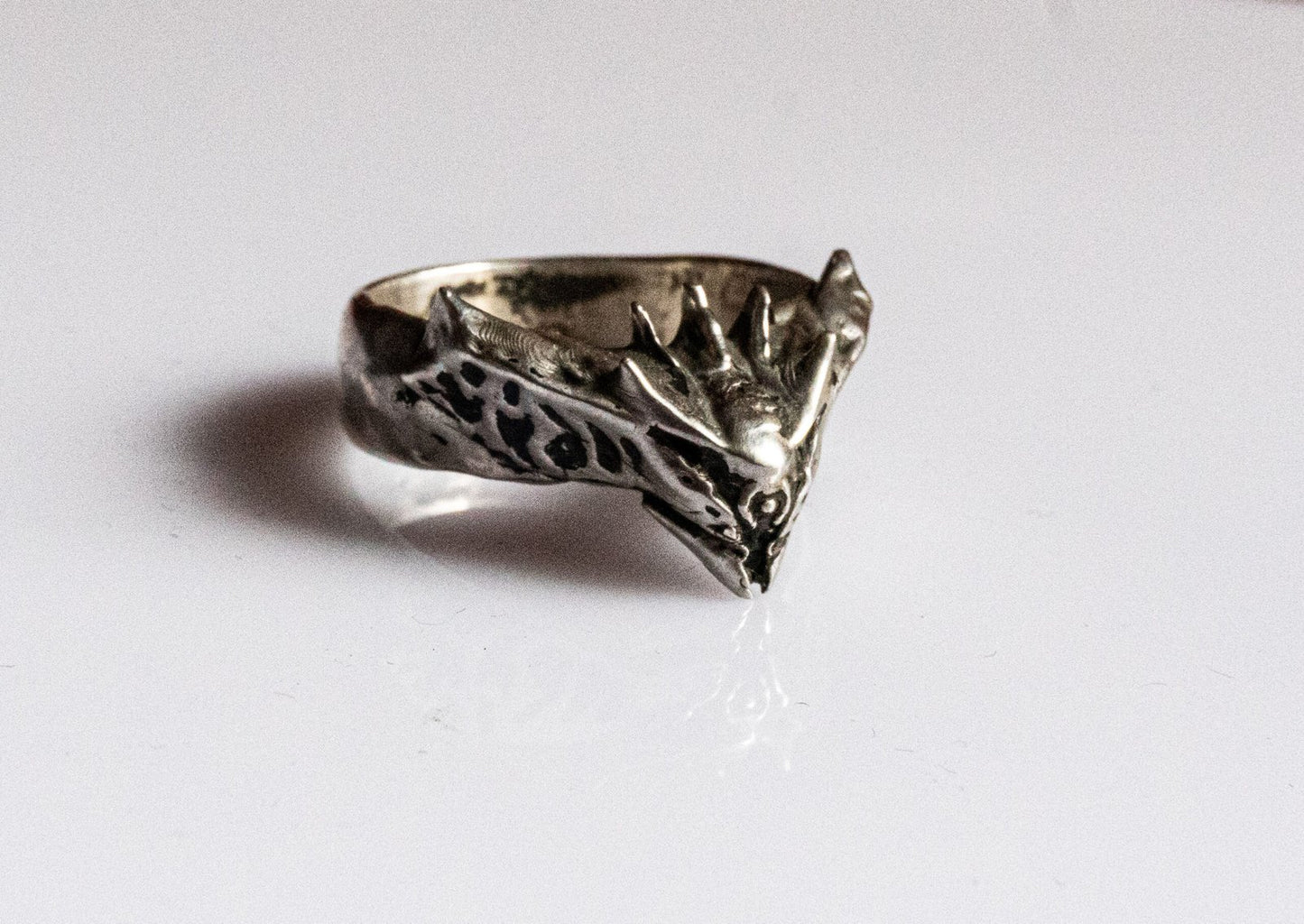 Destiny Ring image 0