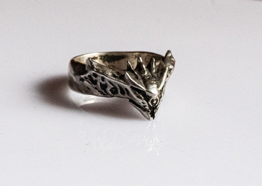 Destiny Ring image 0