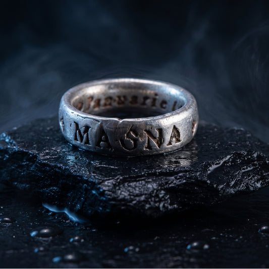 Sic Parvis Magna