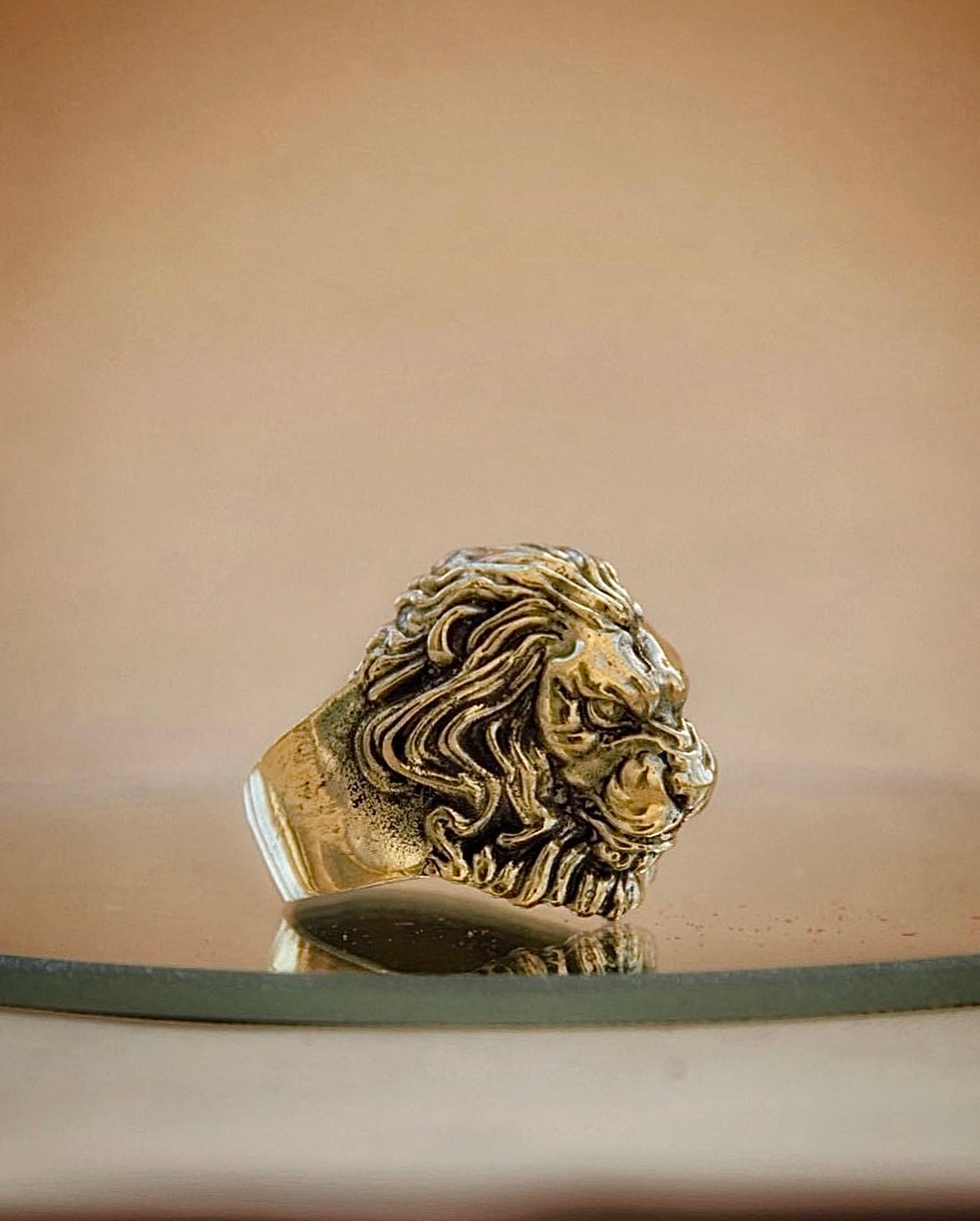 The Lion's Roar image 4