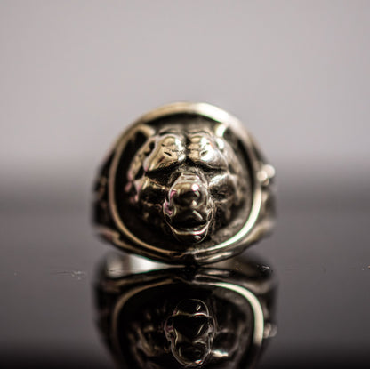 The Old Bear Ring image 0