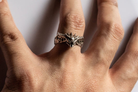 Destiny Ring image 1