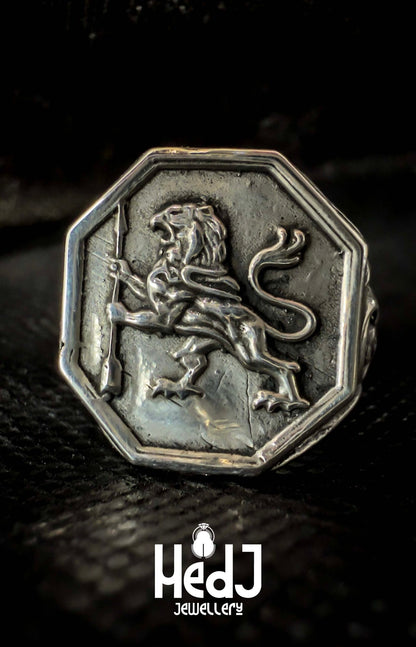 Kingslayer image 3