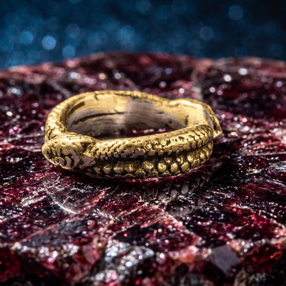 Ouroboros Ring